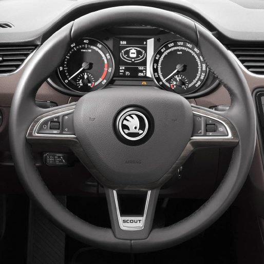 Skoda steering wheel