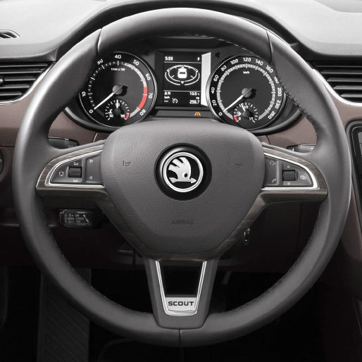 skoda Skoda steering wheel